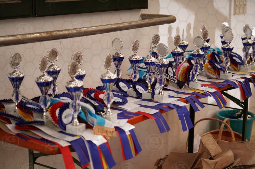 s_A_908543.JPG